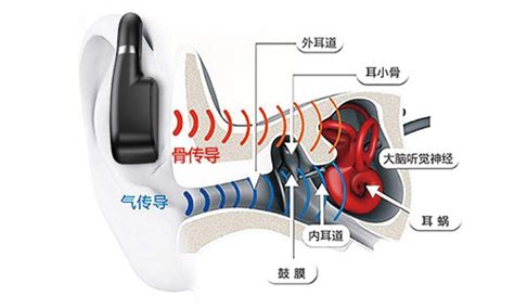 骨传导耳机怎么戴(骨传导耳机怎么戴最合适)缩略图