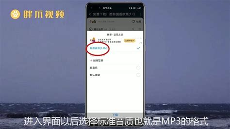 mp3怎么用手机下歌,mp3怎么用手机下歌oppo缩略图