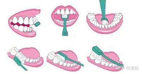 电动牙刷的正确刷牙方法(电动牙刷的正确刷牙方法视频)缩略图