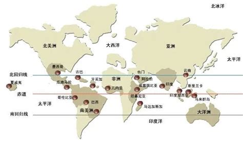 云南咖啡豆产地,云南咖啡豆产地在哪里?缩略图