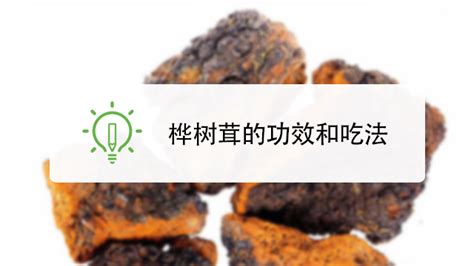 桦树茸茶怎么冲泡,桦树茸茶怎么冲泡最好缩略图