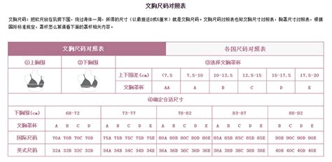 文胸尺码对照表,文胸尺码对照表标准版中国缩略图