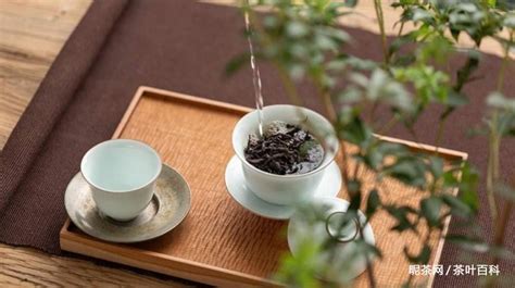 水仙茶的特点和特征(水仙茶的口感特征)缩略图