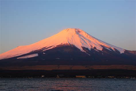 红富士(红富士苹果产地在哪里)缩略图