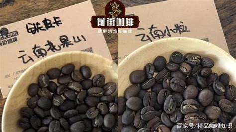 云南咖啡豆,云南咖啡豆品种缩略图