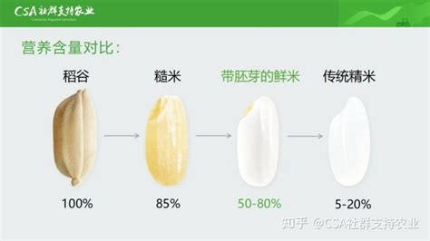 胚芽米和大米的区别(胚芽米和大米的区别是什么)缩略图