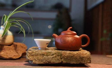 紫砂茶杯适合泡什么茶,紫砂茶杯适合泡什么茶喝缩略图