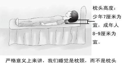 枕头的正确枕法图片(枕头的正确枕法图片教程)缩略图