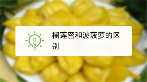 木菠萝粘液怎么洗掉,木菠萝粘液怎么洗掉啊缩略图