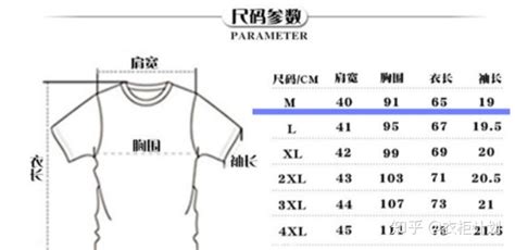 体恤衫尺寸对照表(t恤衫标准尺寸图表)缩略图