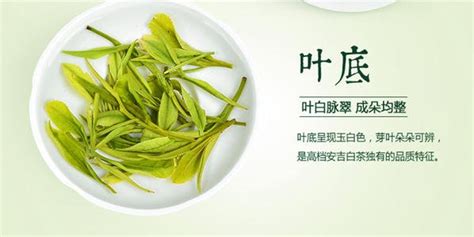 安吉白茶两罐500g138元,安吉白茶两盒装价格缩略图