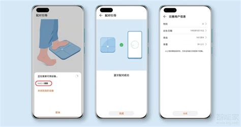 体重秤怎么连接手机测体脂,智能体重秤怎么测体脂缩略图