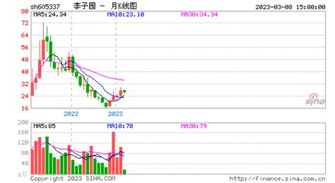 李子园股票,李子园股票今日分析缩略图