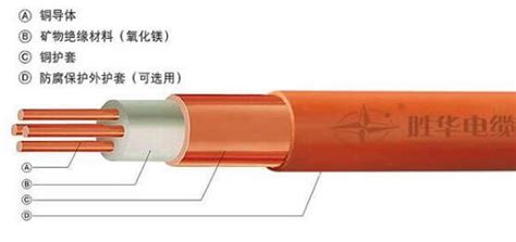 矿物质电缆做法和压法(矿物质电缆做法和压法讲解)缩略图