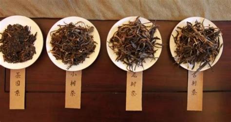 古树茶与台地茶的区别,古树茶与台地茶的区别有哪些缩略图