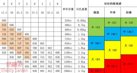 胸贴怎么选择尺寸(胸贴怎么选择尺寸大小)缩略图