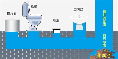 卫生间反臭味小窍门,卫生间反臭味小窍门除味剂?缩略图