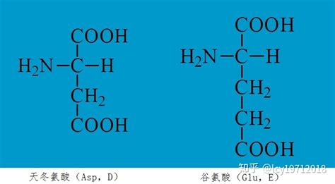 氨基酸是什么,氨基酸是什么功效和作用缩略图