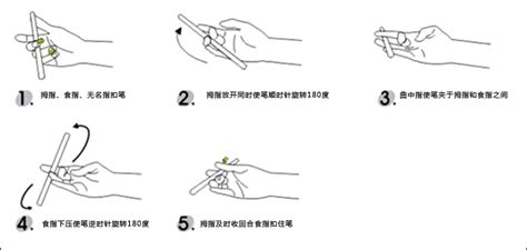 转笔简单教程(转笔简单教程 新手入门小学生)缩略图