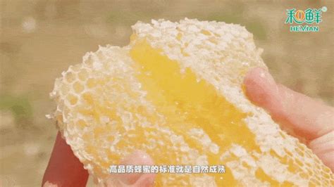 槐花蜜功效与作用,槐花蜜功效与作用有哪些缩略图