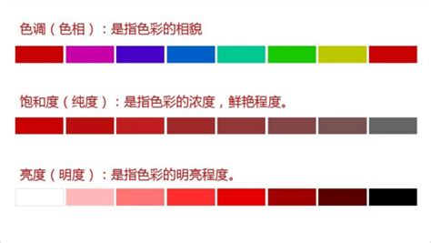 分析纯和化学纯的区别(分析纯和化学纯的区别的标签)缩略图