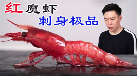 红魔虾,红魔虾多少钱一个斤缩略图