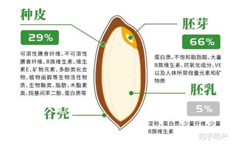 胚芽米怎么煮(胚芽米怎么煮最有营养)缩略图