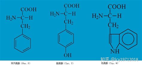 氨基酸的功效与作用适合哪些人,氨基酸的功效与作用适合哪些人群缩略图