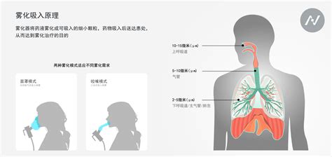 雾化器的正确使用步骤(雾化器的正确使用步骤视频)缩略图