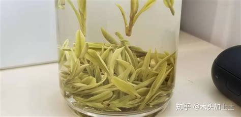 安吉白茶属于哪类茶(安吉白茶属于哪类茶种)缩略图