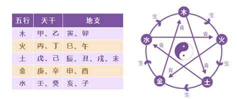 名典八字算命,名典八字算命免费测八字缩略图