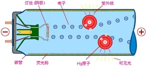 荧光灯和led灯的区别,荧光灯和led灯的区别是什么缩略图