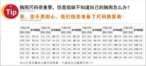 厘米尺的换算,厘米尺换算器缩略图