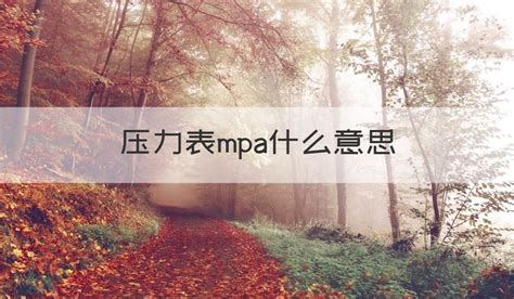 压力表mpa是什么意思呀(压力表mpa和bar是什么意思)缩略图