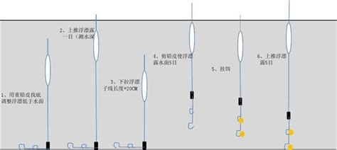 鱼漂怎么装到线上(鱼漂怎么装到线上视频)缩略图