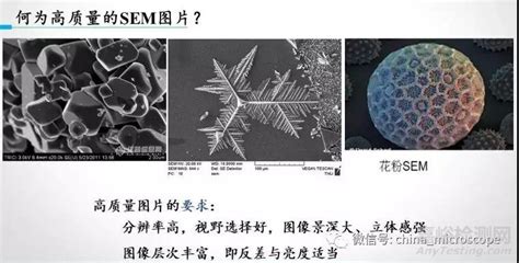 分析纯是什么,分析纯是干什么用的缩略图