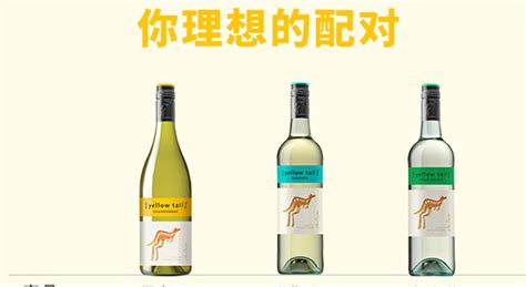 白葡萄酒什么味道,白葡萄酒什么味道最好缩略图