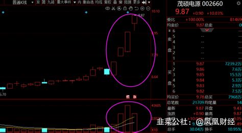 茂硕电源涨10.04%,茂硕电源涨幅多少缩略图