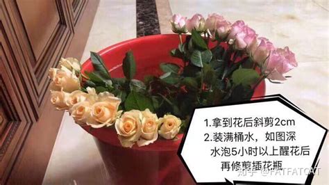 鲜花怎么醒花方法(鲜花醒花的正确方法)缩略图