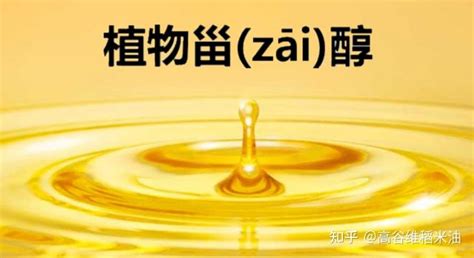 稻米油的营养价值及功效,稻米油的营养价值及功效与作用缩略图