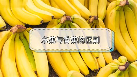 松香水和香蕉水有区别吗(松香水的作用与用途)缩略图