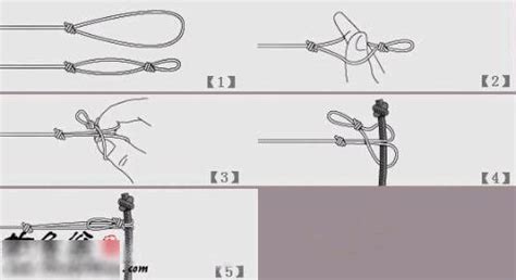 鱼钩线与主线的绑法(鱼钩鱼线与主线的绑法)缩略图