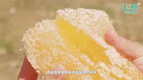 槐花蜜的功效与作用点,槐花蜜的功效与作用缩略图