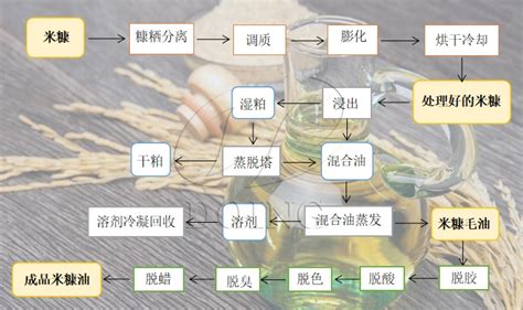 稻米油的功效与作用及食用方法(稻米油的功效与作用及食用方法视频)缩略图