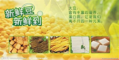 豆制品热量(豆制品热量高吗)缩略图