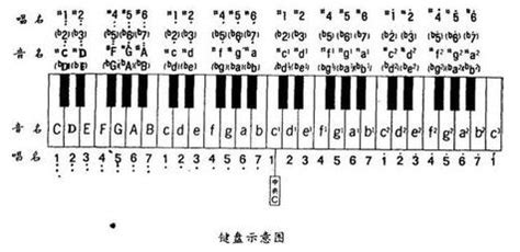 电子琴键盘认识,电子琴键盘认识图解缩略图