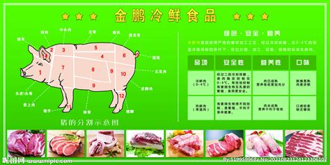 冷鲜肉在哪个位置,冷鲜肉在哪个位置最好缩略图